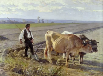 Die Furche